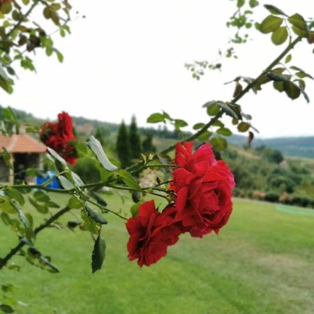 Domacinstvo Sindelic Hotel Ivanjica Buitenkant foto
